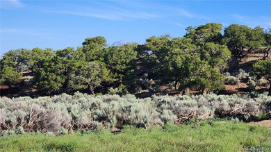 1702 Luke Rd, Fort Garland, CO 81133 - photo 5