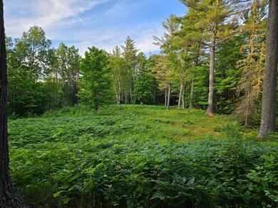 127 Toothaker Pond Rd