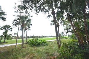 Golf View