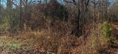 500 R Tram - Front Right, Traskwood, AR 72167 - photo 4