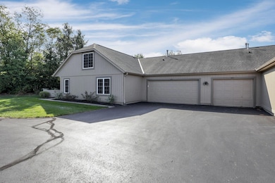 2-web-or-mls-011A4235