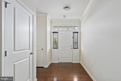 23393 Carters Meadow Terrace, Ashburn, VA 20148 - photo 4