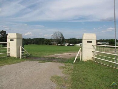 11230 Fm 3226, Arp, TX 75750 - photo 2