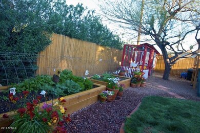 Chicken coop and garden in spring time
