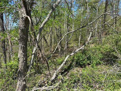 Lot #1 Sugartree Rd, Alkol, WV 25521 - photo 5