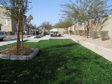 Grassy Area