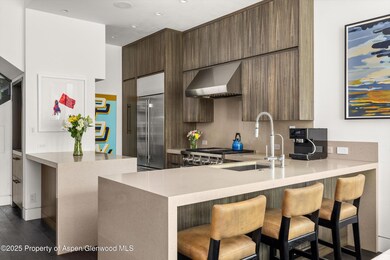 155 Lone Pine Rd unit 12, Aspen, CO 81611 - photo 6