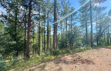 14 Wipila Wiki Dr, Payson, AZ 85541 - photo 3