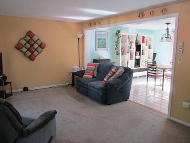 15 Roy St, Worcester, MA 01603 - photo 5