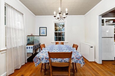 813 N Coalter St, Staunton, VA 24401 - photo 7