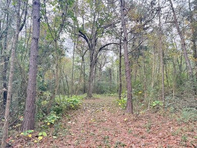 Tbd Union Church Rd unit LotWP001, Magnolia, MS 39652 - photo 4