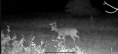 VL 45th Ave, Barryton, MI 49305 - photo 6