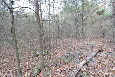 TBD Lazy Brook Rd, Rudy, AR 72952 - photo 3