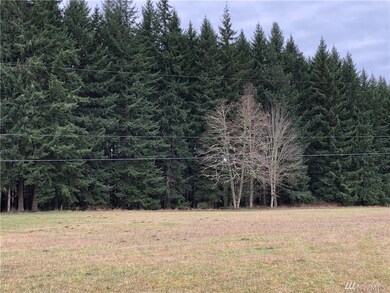 0 Orville Rd E unit 1560170, Orting, WA 98360 - photo 3