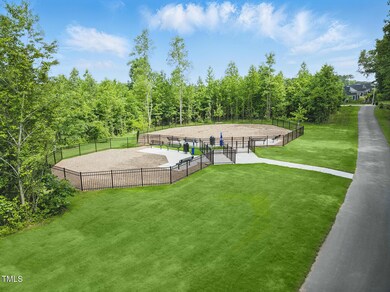 Dog Park