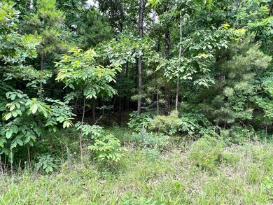 6.86 acres Greene 609 Rd, Paragould, AR 72450 - photo 3