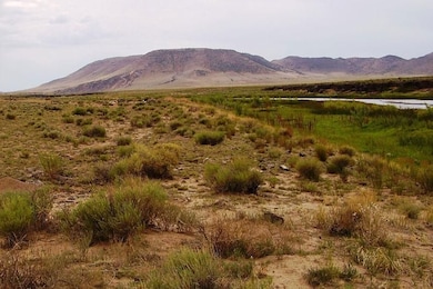 Lot 884 Rio Grande River, Mesita, CO 81152 - photo 2