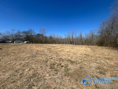 4277 Hobbs Island Rd, Owens Cross Roads, AL 35763 - photo 5