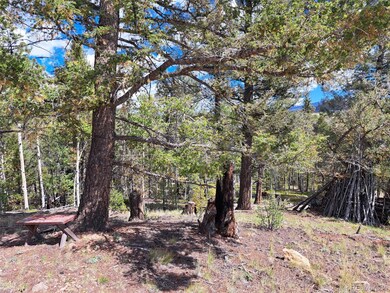 6524 Remington Rd, Como, CO 80456 - photo 7