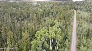 1327.6 B5 Alaska Hwy, Tok, AK 99780 - photo 6