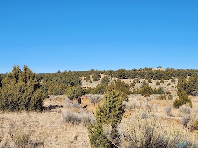 TBD Ponderosa Ranches Trail, Pie Town, NM 87827 - photo 4