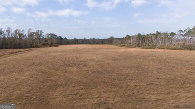 0 Old Graham Rd unit 10649506, Hazlehurst, GA 31539 - photo 4