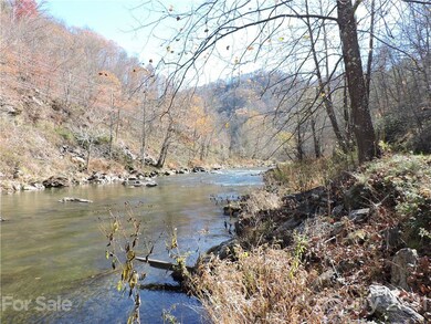 60 Snake Bite Holler Ln, Burnsville, NC 28714 - photo 7