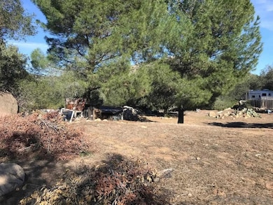 17869 Lyons Valley Rd, Jamul, CA 91935 - photo 5