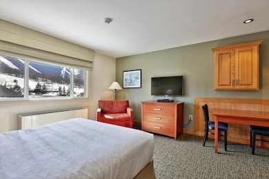 228 E Mountain Rd unit 124 III, Killington, VT 05751 - photo 4