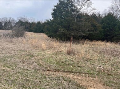 Lot View Left