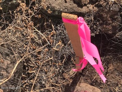 24450 N Shooters Pass, Paulden, AZ 86334 - photo 4