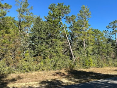 Parcel A Bear Head Rd, Crestview, FL 32539 - photo 5