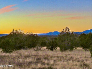 2653 Denny Dr, Ash Fork, AZ 86320 - photo 4