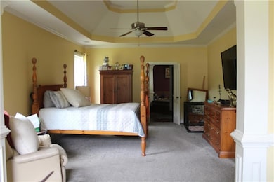 Bedroom with a raised ceiling, ornamental molding,