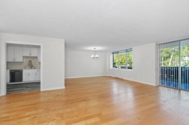 Imperial Towers unit 203, Chestnut Hill, MA 02467 - photo 4