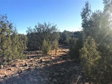 41 N Honeysuckle Rd, Ash Fork, AZ 86320 - photo 6