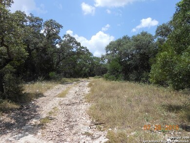 6145 County Road 251, Hondo, TX 78861 - photo 5