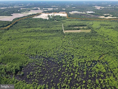 0 State Rt 125 (Tract: Cherry Island) unit NCOT2000026, Beaufort, NC 28516 - photo 7