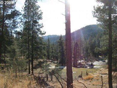 0 Eagle Rock unit 9088562, Canyon City, OR 97820 - photo 6