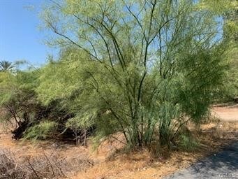 0 Lodge Dr unit SW25060708, Quail Valley, CA 92587 - photo 2