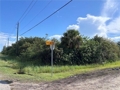 0 29th Ave NE unit 225067735, Naples, FL 34120 - photo 4