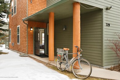 719 Evans Ct Basalt CO 81621-large-006-1