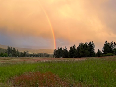 29411 N Dunn Rd, Chattaroy, WA 99003 - photo 4