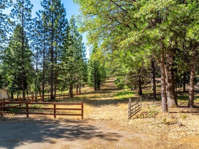 TBD Starkes Grade Rd, Pollock Pines, CA 95726 - photo 3
