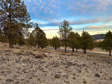 0 Murrelet unit Lot 1193 220174095, Klamath Falls, OR 97601 - photo 6