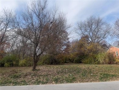 8136 Flora Ave, Kansas City, MO 64131 - photo 6