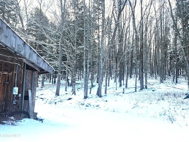 285 Fish Mountain Rd, Lake Pleasant, NY 12108 - photo 7