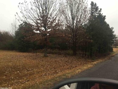 0 Zebulin Dr, Heber Springs, AR 72543 - photo 4