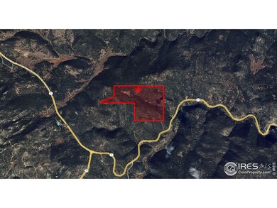 18673 Route 7, Lyons, CO 80540 - photo 4