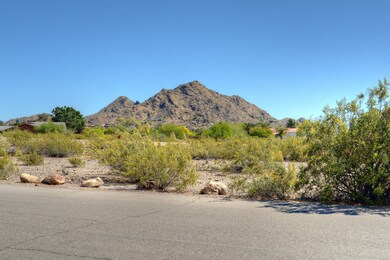 Lot View (6)